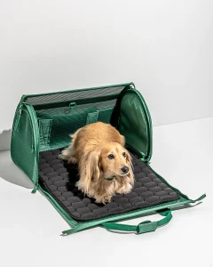 WO_VM_Studio_PDP_TravelCarrier_Spruce_Dog_01_Web